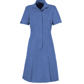 Alexandra zip front dress