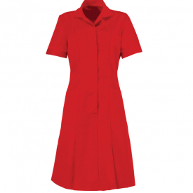 Alexandra zip front dress