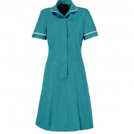 Alexandra zip front dress