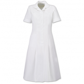 Alexandra zip front dress