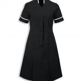 Alexandra mandarin collar dress
