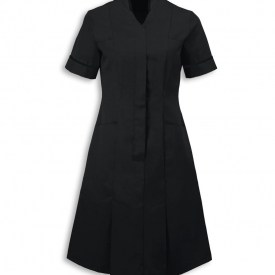 Alexandra mandarin collar dress