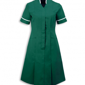 Alexandra mandarin collar dress