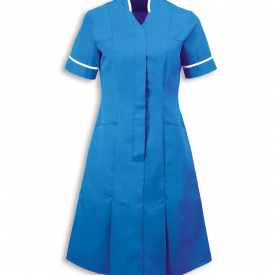 Alexandra mandarin collar dress