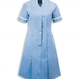 Alexandra mandarin collar dress