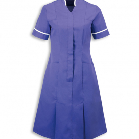 Alexandra mandarin collar dress