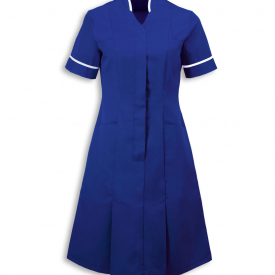 Alexandra mandarin collar dress