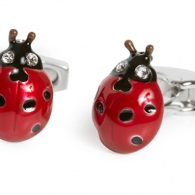 ‘English Country Garden’ Ladybird Cufflink