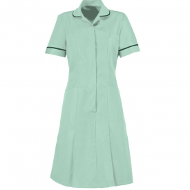 Alexandra zip front dress