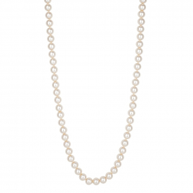 Cream Pearl Gold Clasped Necklace