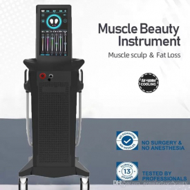2022 HIEMT slimming emslim body sculpt muscle build equipment tesla body contouring ems buttock lift machine 2 handles