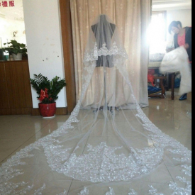 Best Selling Luxury Real Image Wedding Veils Three Meters Long Veils Lace Applique Crystals Two Layers Cathedral Length Cheap Bridal Veil