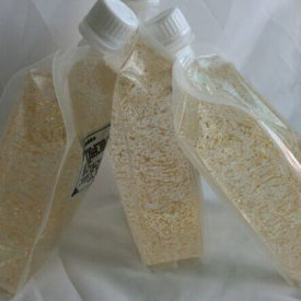 1KG Nano 24K Decleo r Gold Foil Toner Skin Care Serum Mosturizing 1000ml Beauty Salon Equipment