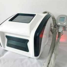 Vertical 4 Cryolipolyse Handles Vacuum Cryolipolyse Fat Freezing Body Slimming Machine Fat Freezing Cryolipolysis Machine with CE