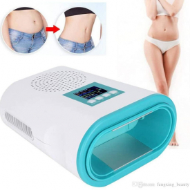 Two cold plates weight loss mini cryolipolysis