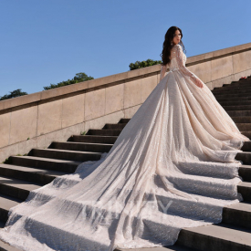 Charming Champagne Long Sleeves Applique A-Line Wedding Dresses Bridal Pageant Dresses Wedding Attire Dresses Custom Size 2-18 KF1226309