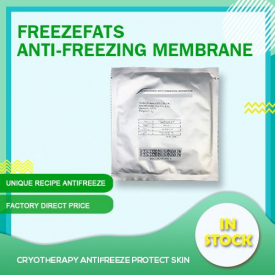 best manufacturer 2020 cheap Cryolipolysis freezefat anti-freezing membrane cryo pad for cryolipolysis uk dhl free shipping