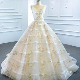 Beauty Ivory/Champagne V-Neck Tulle Applique A-Line Wedding Dresses Bridal Pageant Dresses Wedding Attire Dresses Custom Size 2-18 W312022